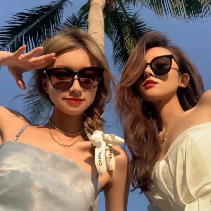 狗狗的旅程